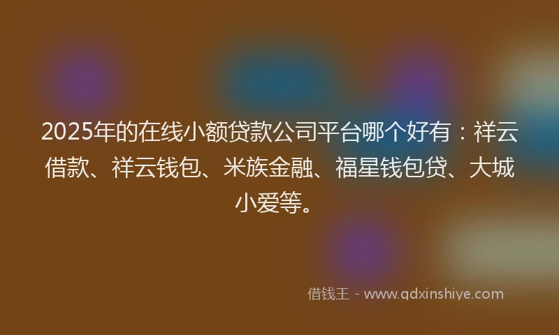 2025年的在线小额贷款公司平台哪个好有：祥云借款、祥云钱包、米族金融、福星钱包贷、大城小爱等。