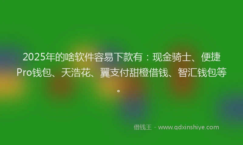 2025年的啥软件容易下款有：现金骑士、便捷Pro钱包、天浩花、翼支付甜橙借钱、智汇钱包等。