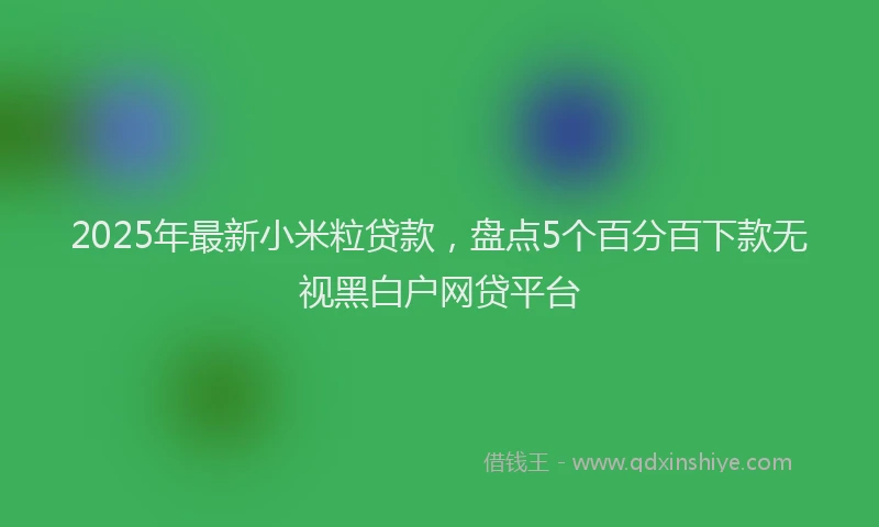 2025年最新小米粒贷款，盘点5个百分百下款无视黑白户网贷平台