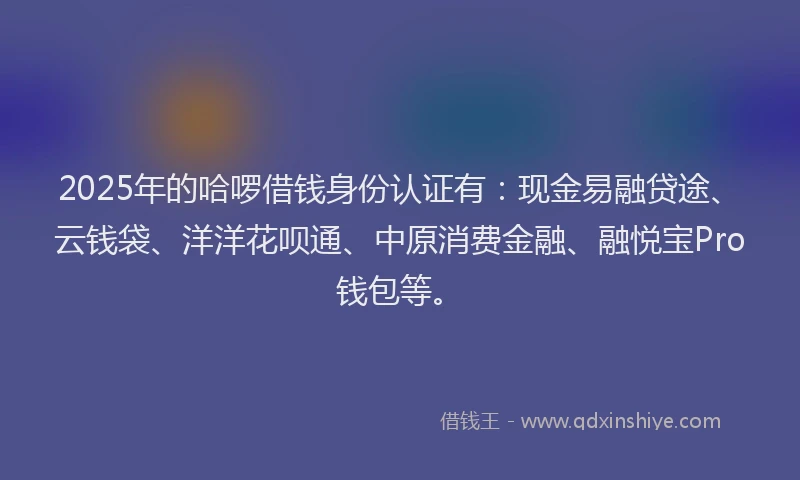 2025年的哈啰借钱身份认证有：现金易融贷途、云钱袋、洋洋花呗通、中原消费金融、融悦宝Pro钱包等。