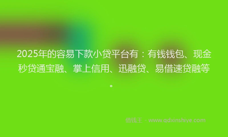 2025年的容易下款小贷平台有：有钱钱包、现金秒贷通宝融、掌上信用、迅融贷、易借速贷融等。