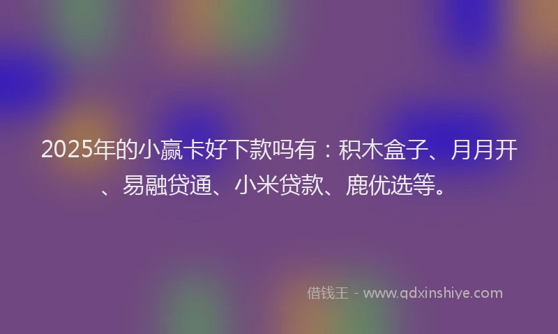2025年的小赢卡好下款吗有：积木盒子、月月开、易融贷通、小米贷款、鹿优选等。