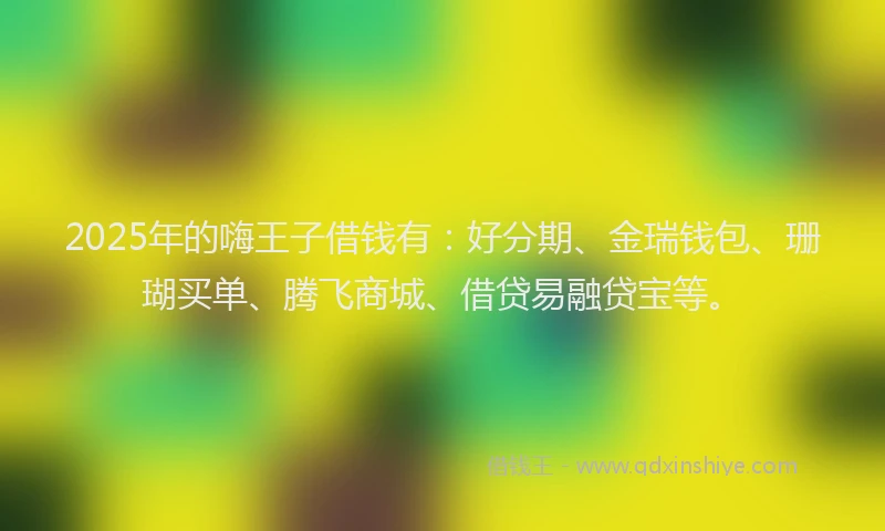 2025年的嗨王子借钱有：好分期、金瑞钱包、珊瑚买单、腾飞商城、借贷易融贷宝等。