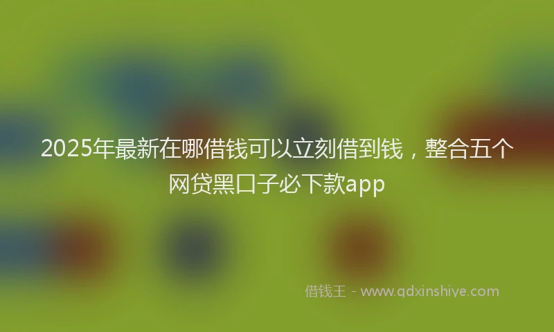 2025年最新在哪借钱可以立刻借到钱，整合五个网贷黑口子必下款app