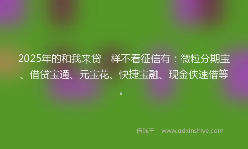 2025年的和我来贷一样不看征信有：微粒分期宝、借贷宝通、元宝花、快捷宝融、现金侠速借等。