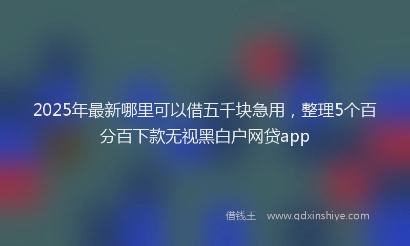 2025年最新哪里可以借五千块急用，整理5个百分百下款无视黑白户网贷app