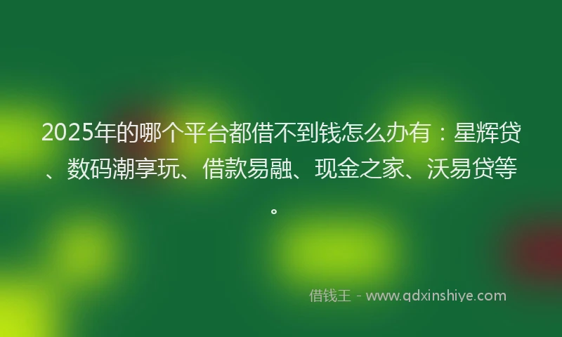 2025年的哪个平台都借不到钱怎么办有：星辉贷、数码潮享玩、借款易融、现金之家、沃易贷等。