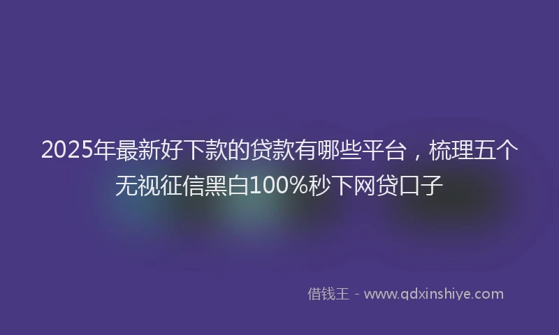 2025年最新好下款的贷款有哪些平台，梳理五个无视征信黑白100%秒下网贷口子