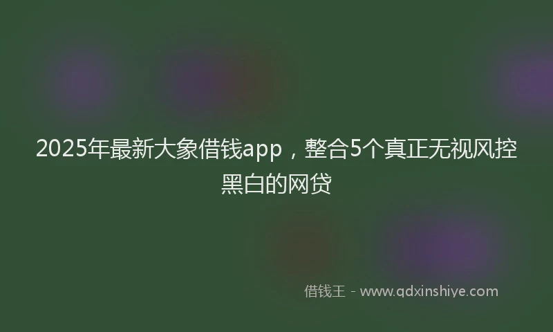 2025年最新大象借钱app，整合5个真正无视风控黑白的网贷