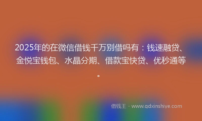 2025年的在微信借钱千万别借吗有：钱速融贷、金悦宝钱包、水晶分期、借款宝快贷、优秒通等。