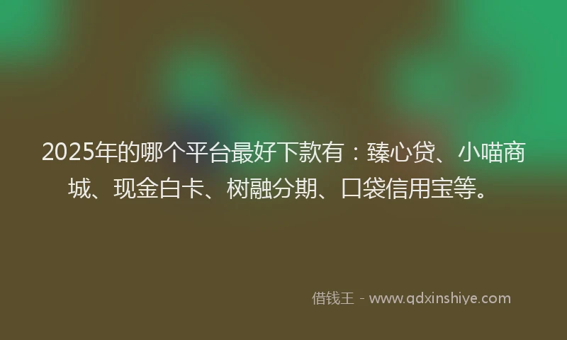 2025年的哪个平台最好下款有：臻心贷、小喵商城、现金白卡、树融分期、口袋信用宝等。