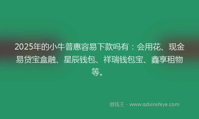 2025年的小牛普惠容易下款吗有：会用花、现金易贷宝盒融、星辰钱包、祥瑞钱包宝、鑫享租物等。