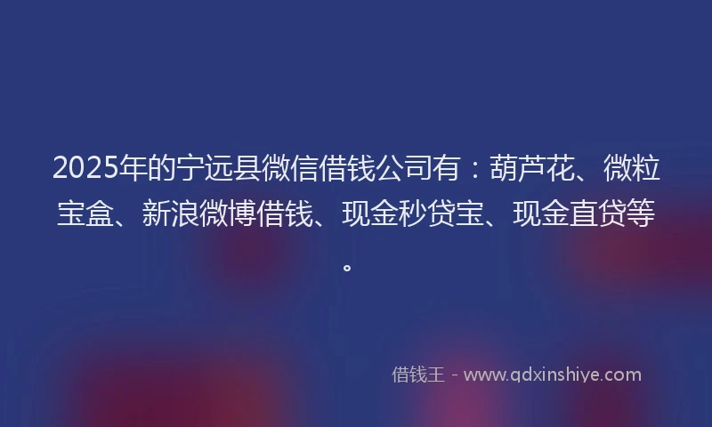2025年的宁远县微信借钱公司有：葫芦花、微粒宝盒、新浪微博借钱、现金秒贷宝、现金直贷等。
