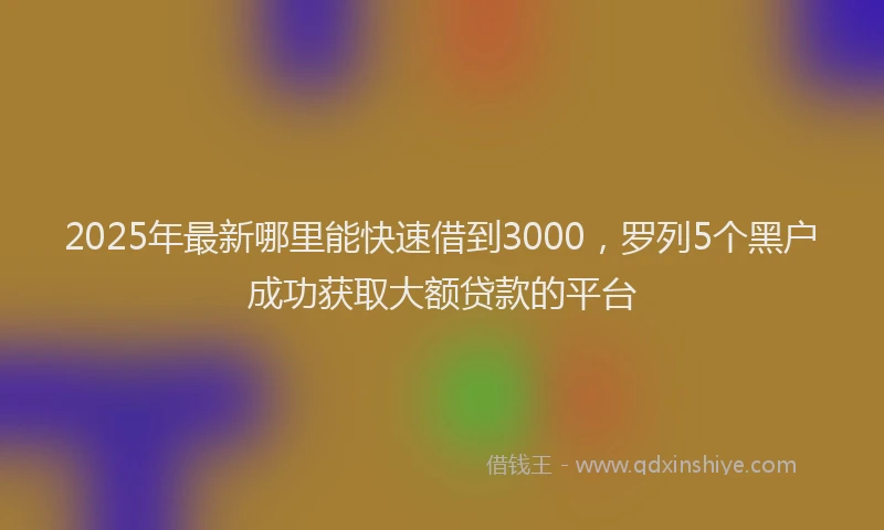 2025年最新哪里能快速借到3000，罗列5个黑户成功获取大额贷款的平台