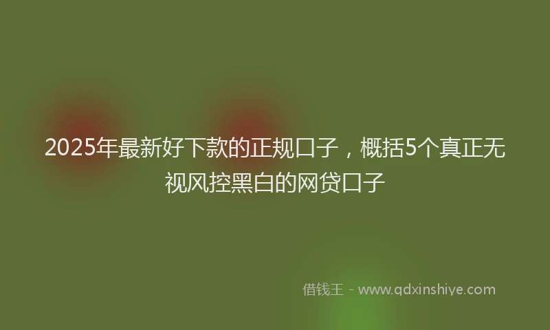 2025年最新好下款的正规口子，概括5个真正无视风控黑白的网贷口子