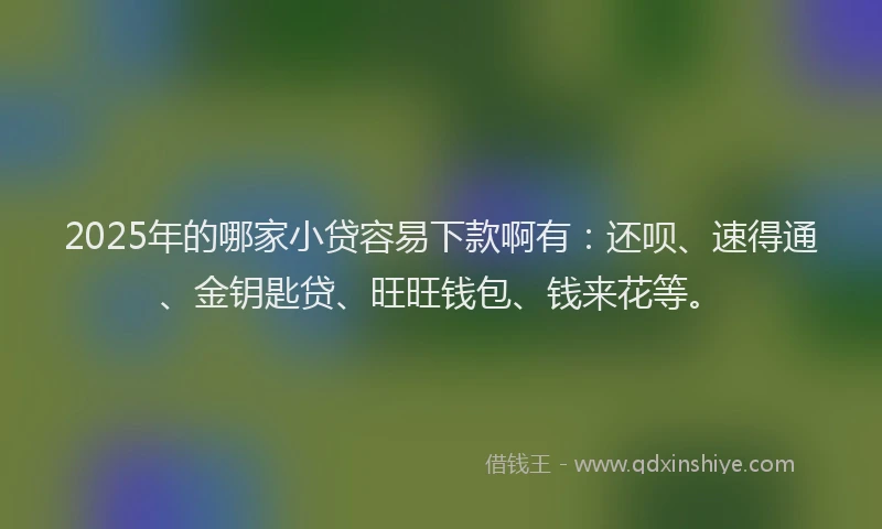 2025年的哪家小贷容易下款啊有：还呗、速得通、金钥匙贷、旺旺钱包、钱来花等。