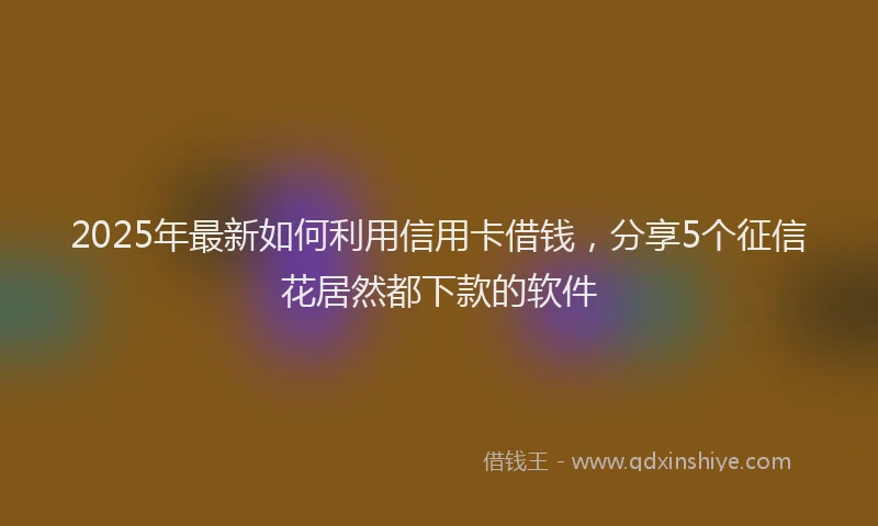 2025年最新如何利用信用卡借钱，分享5个征信花居然都下款的软件