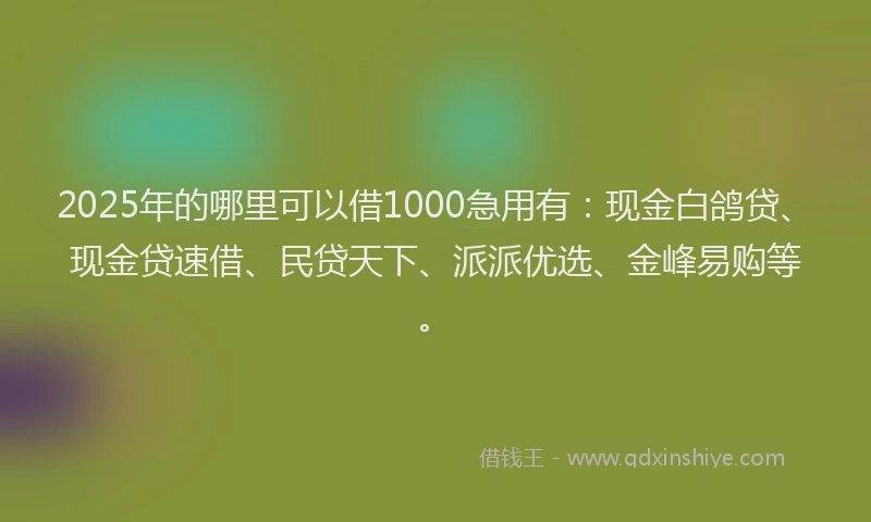 2025年的哪里可以借1000急用有：现金白鸽贷、现金贷速借、民贷天下、派派优选、金峰易购等。