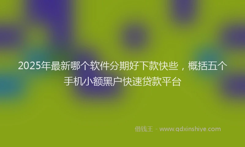 2025年最新哪个软件分期好下款快些，概括五个手机小额黑户快速贷款平台