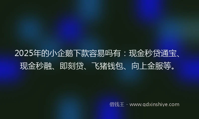 2025年的小企鹅下款容易吗有：现金秒贷通宝、现金秒融、即刻贷、飞猪钱包、向上金服等。
