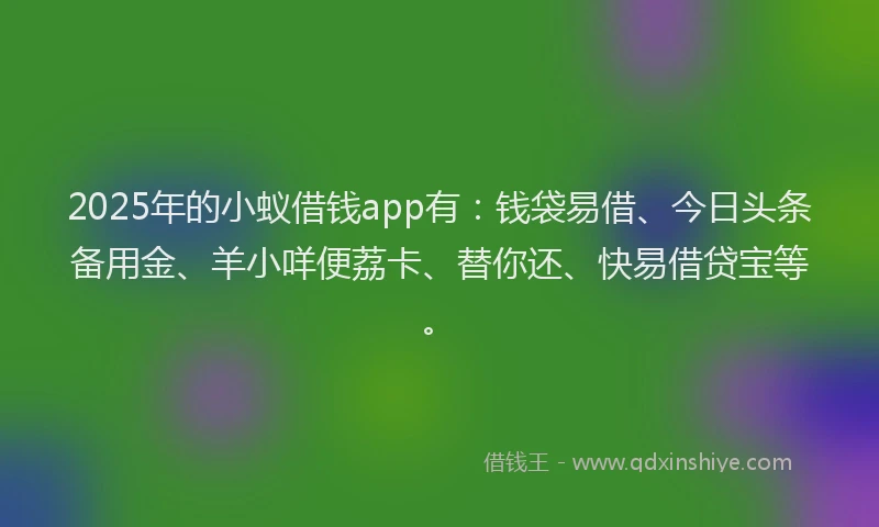 2025年的小蚁借钱app有：钱袋易借、今日头条备用金、羊小咩便荔卡、替你还、快易借贷宝等。