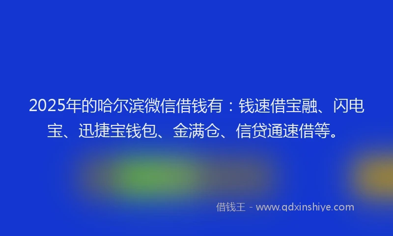 2025年的哈尔滨微信借钱有：钱速借宝融、闪电宝、迅捷宝钱包、金满仓、信贷通速借等。