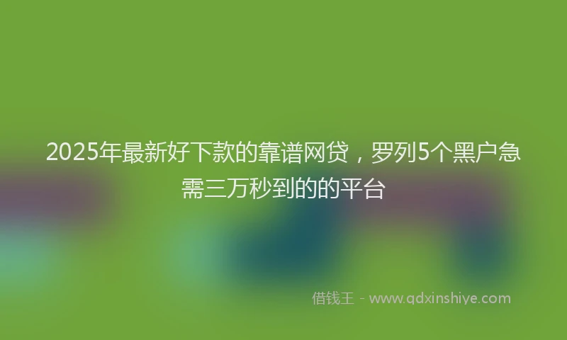 2025年最新好下款的靠谱网贷，罗列5个黑户急需三万秒到的的平台