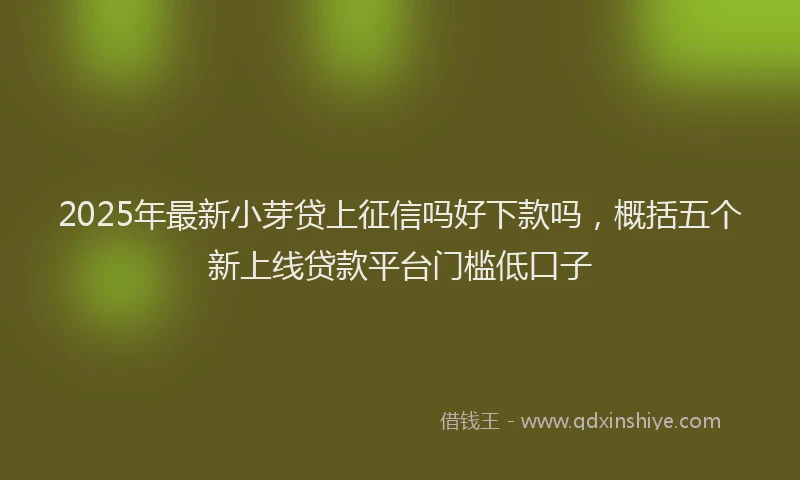 2025年最新小芽贷上征信吗好下款吗，概括五个新上线贷款平台门槛低口子