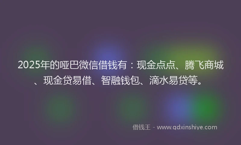2025年的哑巴微信借钱有：现金点点、腾飞商城、现金贷易借、智融钱包、滴水易贷等。
