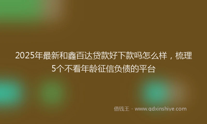 2025年最新和鑫百达贷款好下款吗怎么样，梳理5个不看年龄征信负债的平台