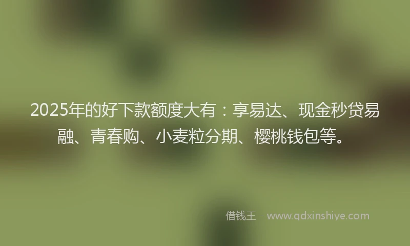 2025年的好下款额度大有：享易达、现金秒贷易融、青春购、小麦粒分期、樱桃钱包等。