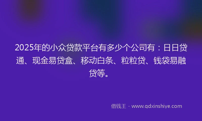 2025年的小众贷款平台有多少个公司有：日日贷通、现金易贷盒、移动白条、粒粒贷、钱袋易融贷等。