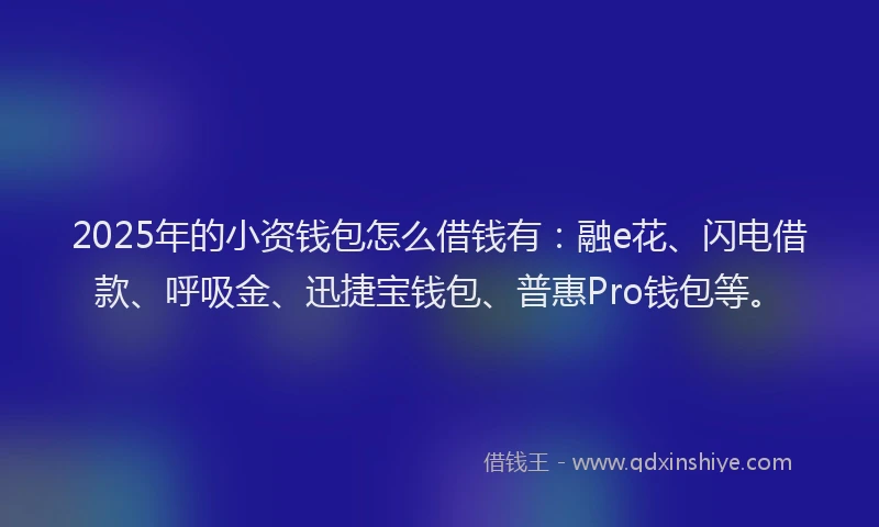 2025年的小资钱包怎么借钱有：融e花、闪电借款、呼吸金、迅捷宝钱包、普惠Pro钱包等。