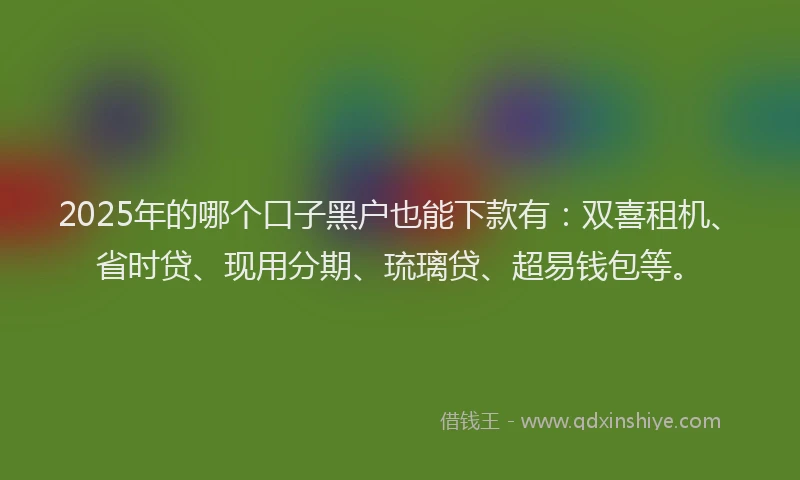 2025年的哪个口子黑户也能下款有：双喜租机、省时贷、现用分期、琉璃贷、超易钱包等。