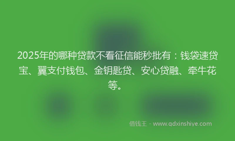2025年的哪种贷款不看征信能秒批有：钱袋速贷宝、翼支付钱包、金钥匙贷、安心贷融、牵牛花等。