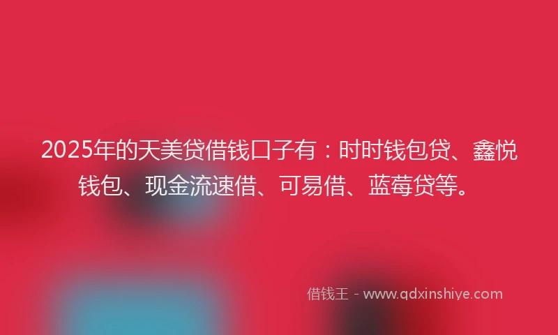 2025年的天美贷借钱口子有：时时钱包贷、鑫悦钱包、现金流速借、可易借、蓝莓贷等。