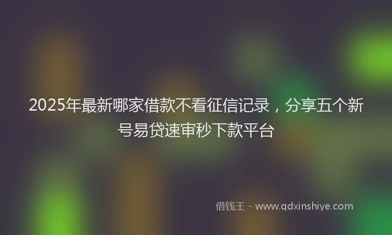 2025年最新哪家借款不看征信记录，分享五个新号易贷速审秒下款平台