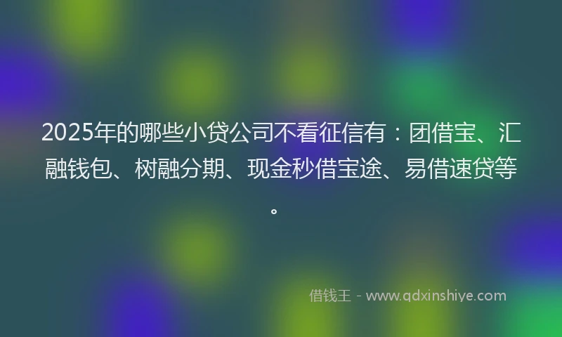 2025年的哪些小贷公司不看征信有：团借宝、汇融钱包、树融分期、现金秒借宝途、易借速贷等。