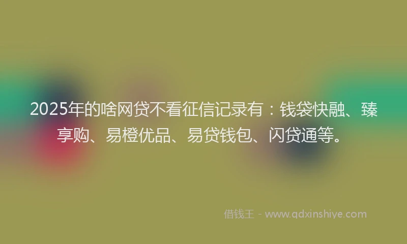 2025年的啥网贷不看征信记录有：钱袋快融、臻享购、易橙优品、易贷钱包、闪贷通等。