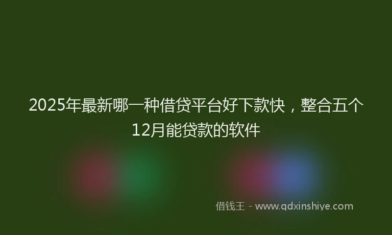 2025年最新哪一种借贷平台好下款快，整合五个12月能贷款的软件