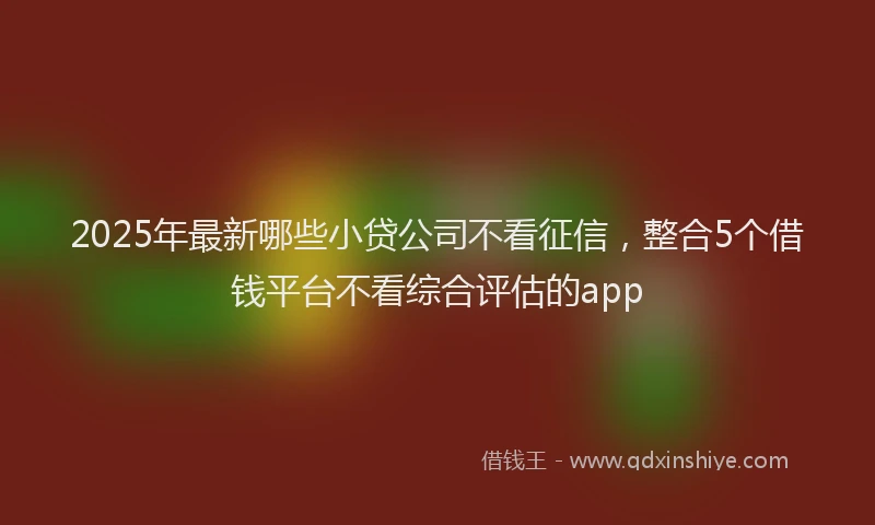 2025年最新哪些小贷公司不看征信，整合5个借钱平台不看综合评估的app