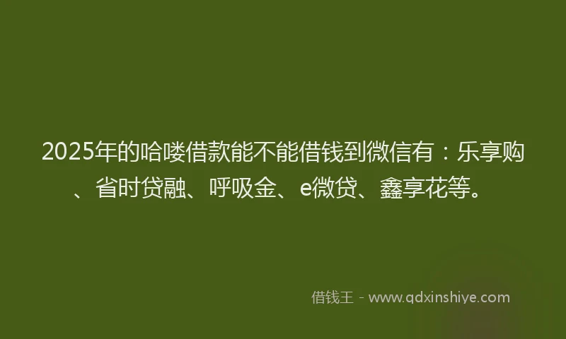2025年的哈喽借款能不能借钱到微信有：乐享购、省时贷融、呼吸金、e微贷、鑫享花等。