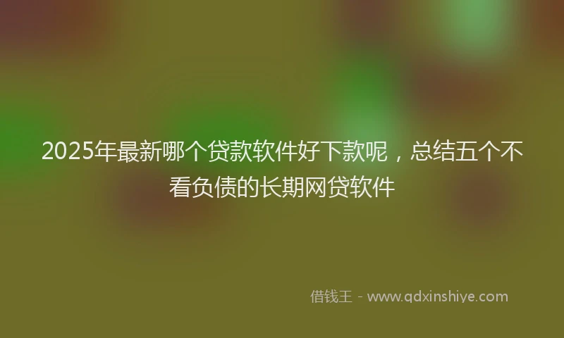2025年最新哪个贷款软件好下款呢，总结五个不看负债的长期网贷软件