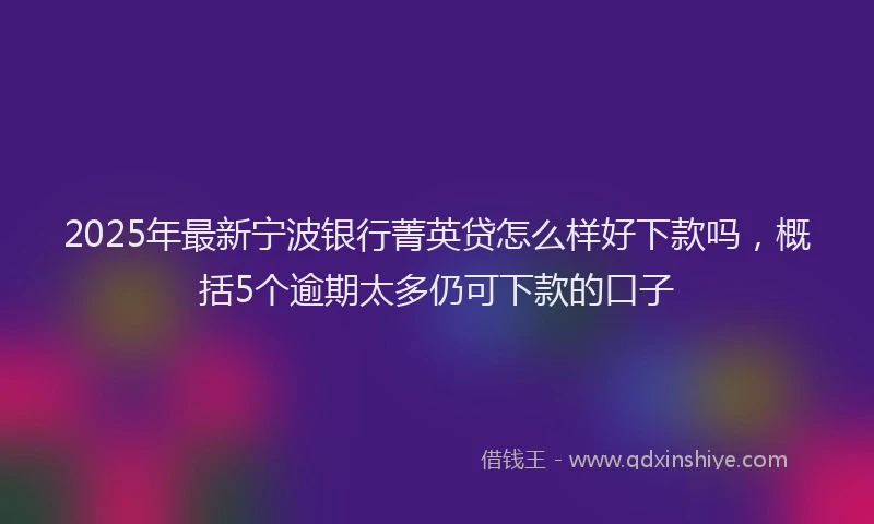 2025年最新宁波银行菁英贷怎么样好下款吗，概括5个逾期太多仍可下款的口子