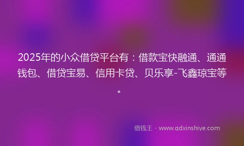 2025年的小众借贷平台有：借款宝快融通、通通钱包、借贷宝易、信用卡贷、贝乐享-飞鑫琼宝等。