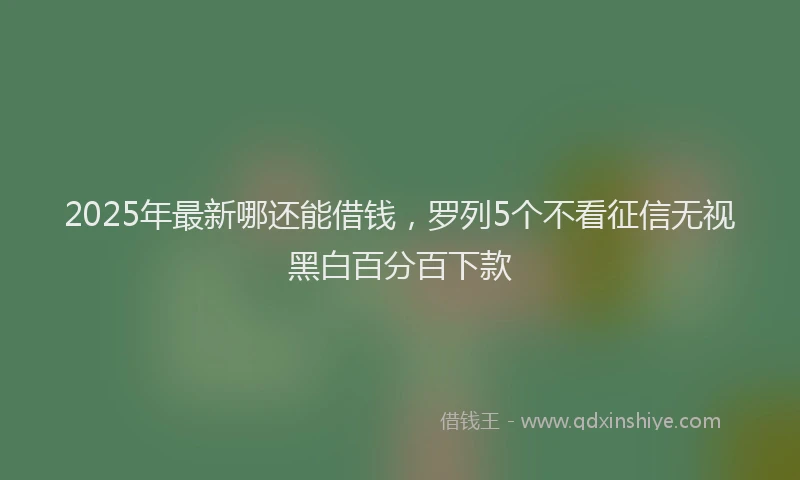 2025年最新哪还能借钱，罗列5个不看征信无视黑白百分百下款
