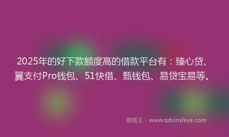 2025年的好下款额度高的借款平台有：臻心贷、翼支付Pro钱包、51快借、甄钱包、易贷宝易等。