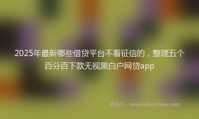 2025年最新哪些借贷平台不看征信的，整理五个百分百下款无视黑白户网贷app