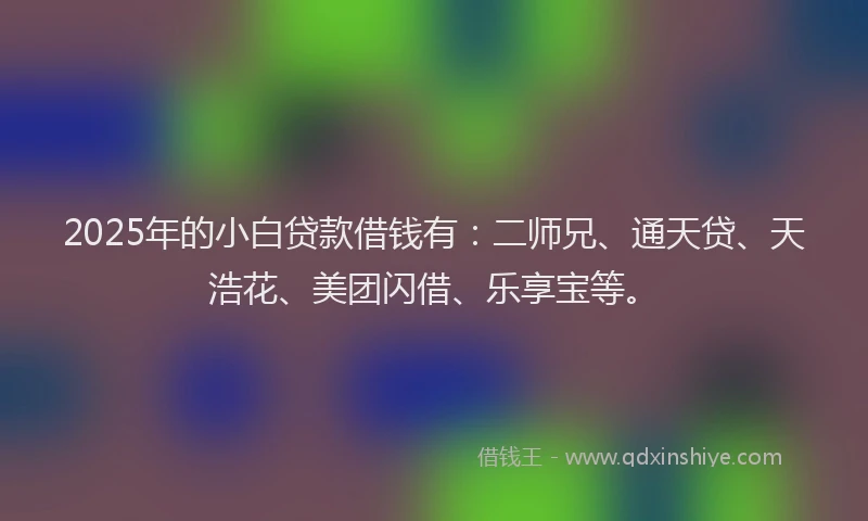 2025年的小白贷款借钱有：二师兄、通天贷、天浩花、美团闪借、乐享宝等。