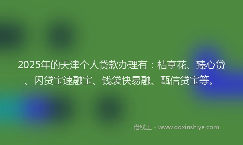 2025年的天津个人贷款办理有：桔享花、臻心贷、闪贷宝速融宝、钱袋快易融、甄信贷宝等。